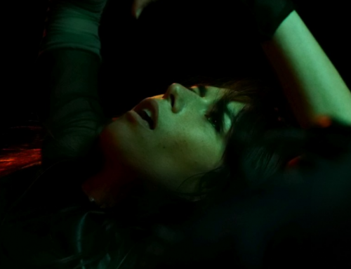 In Conversation with Veronica Lillo