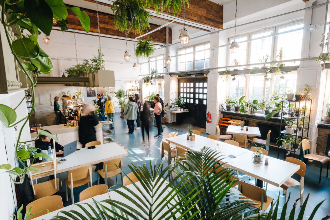 The Greens Café im Herzen von Berlin in der Alten Münze
